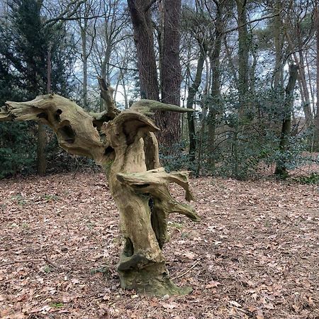 Het Boshuis Dalfsen Bagian luar foto