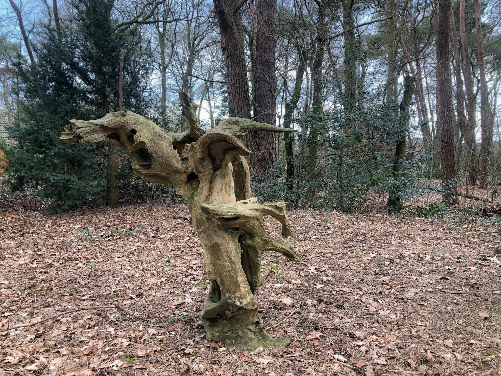 Het Boshuis Dalfsen Bagian luar foto